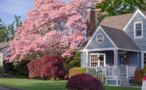 Front view of a small house with blooming trees.